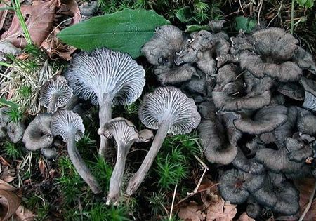 post_38_1103064292