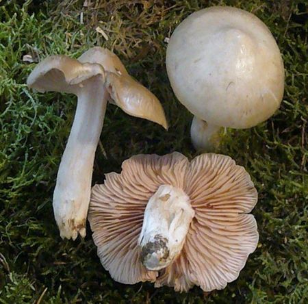 k_p1040329