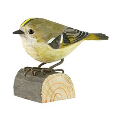 Roitelet huppé (bois)
