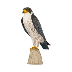 Faucon pèlerin (bois)