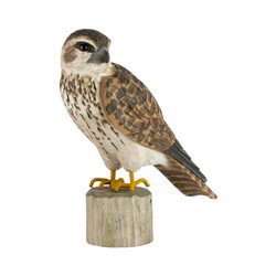 Faucon émerillon (bois)